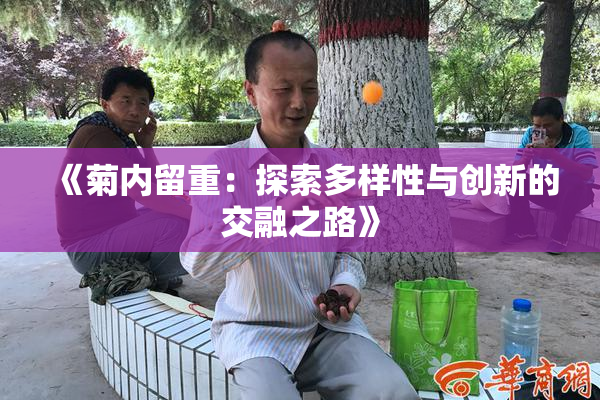 《菊内留重：探索多样性与创新的交融之路》