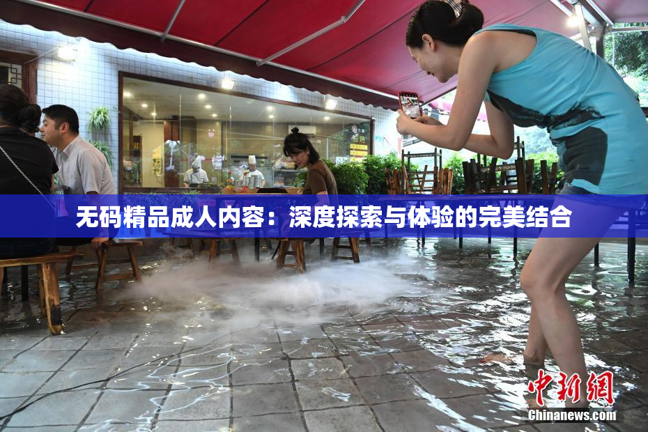 无码精品成人内容：深度探索与体验的完美结合