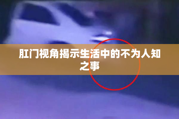 肛门视角揭示生活中的不为人知之事