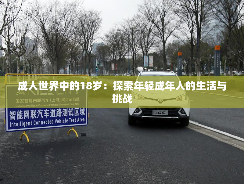 成人世界中的18岁：探索年轻成年人的生活与挑战
