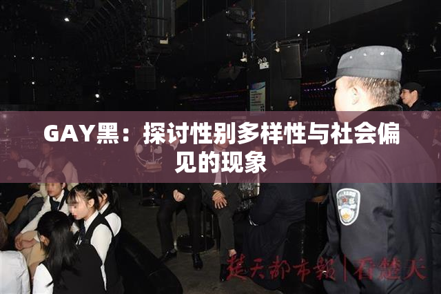 GAY黑：探讨性别多样性与社会偏见的现象