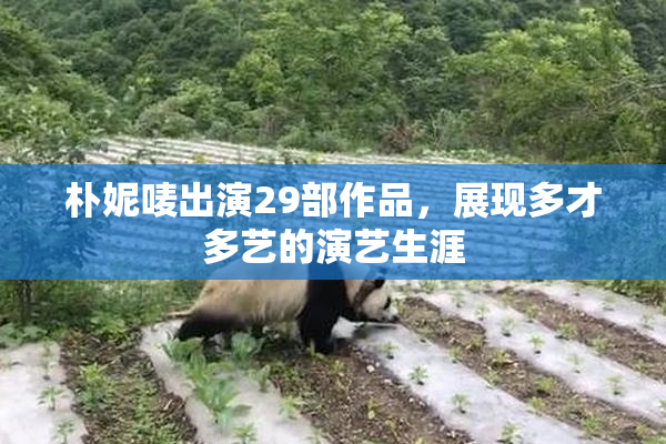 朴妮唛出演29部作品，展现多才多艺的演艺生涯