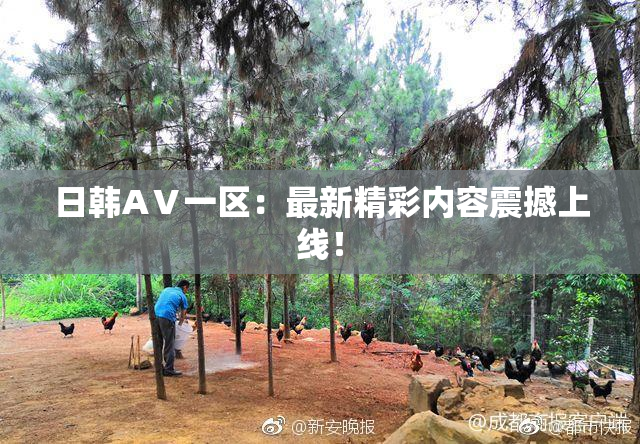 日韩AⅤ一区：最新精彩内容震撼上线！