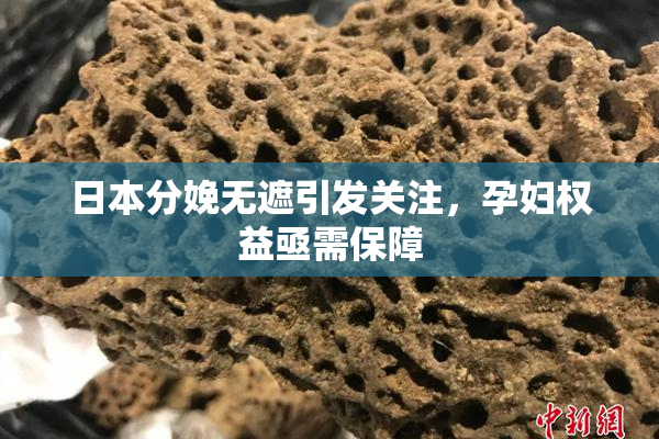 日本分娩无遮引发关注，孕妇权益亟需保障