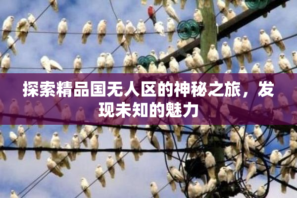 探索精品国无人区的神秘之旅，发现未知的魅力