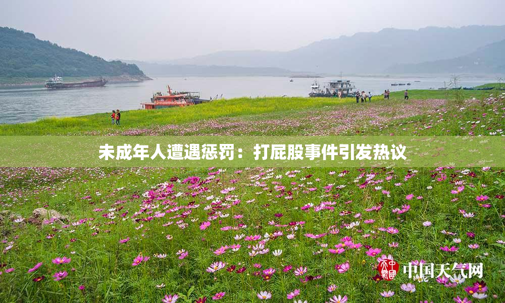 未成年人遭遇惩罚：打屁股事件引发热议