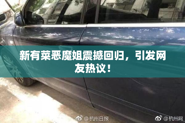 新有菜恶魔姐震撼回归，引发网友热议！