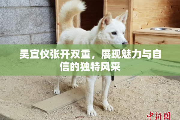 吴宣仪张开双重，展现魅力与自信的独特风采