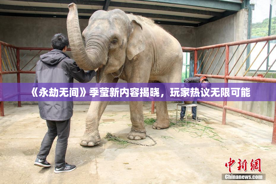 《永劫无间》季莹新内容揭晓，玩家热议无限可能