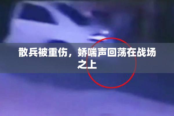 散兵被重伤，娇喘声回荡在战场之上