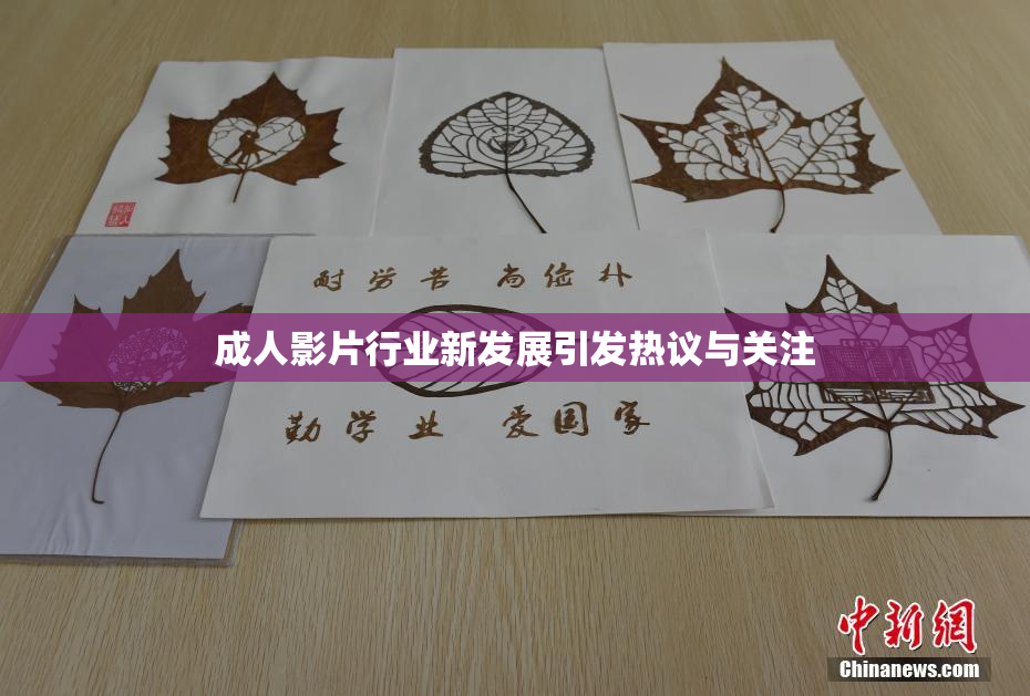 成人影片行业新发展引发热议与关注