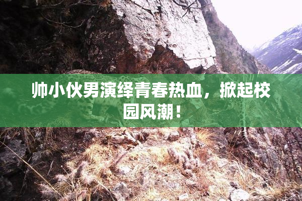 帅小伙男演绎青春热血，掀起校园风潮！