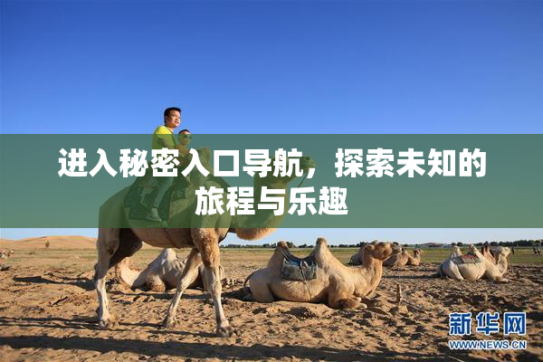 进入秘密入口导航，探索未知的旅程与乐趣