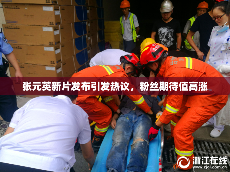 张元英新片发布引发热议，粉丝期待值高涨