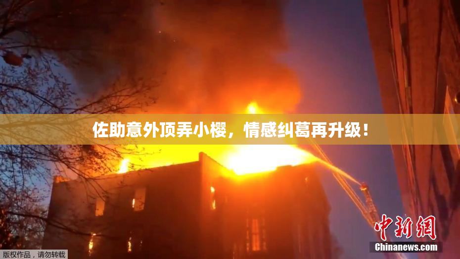 佐助意外顶弄小樱，情感纠葛再升级！