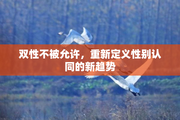双性不被允许，重新定义性别认同的新趋势