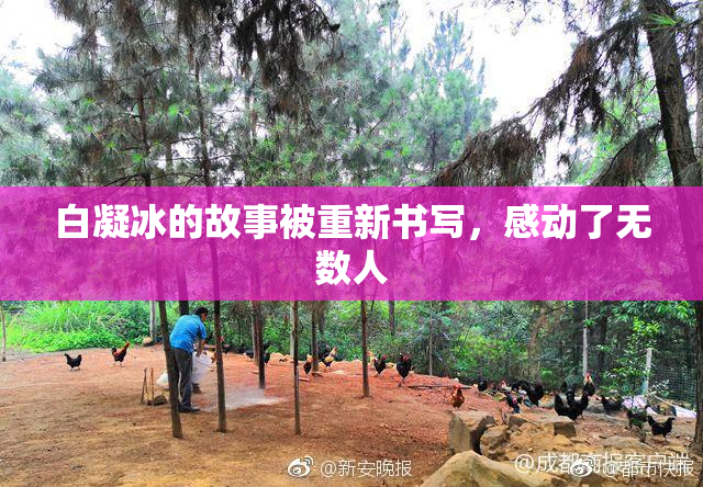 白凝冰的故事被重新书写，感动了无数人