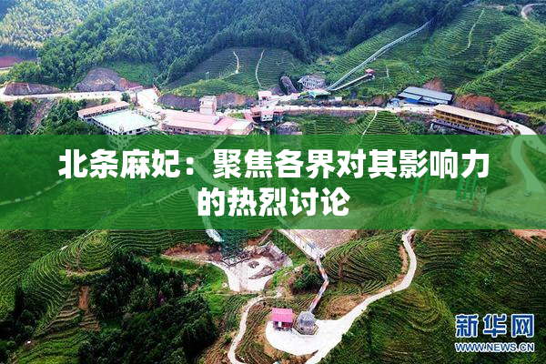 北条麻妃：聚焦各界对其影响力的热烈讨论