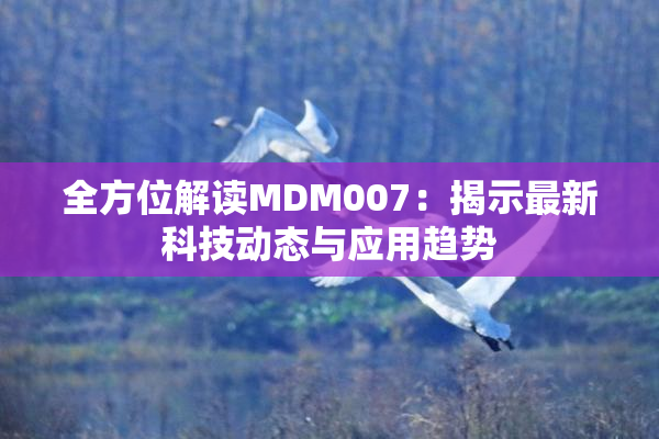 全方位解读MDM007：揭示最新科技动态与应用趋势
