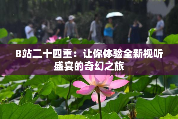 B站二十四重：让你体验全新视听盛宴的奇幻之旅