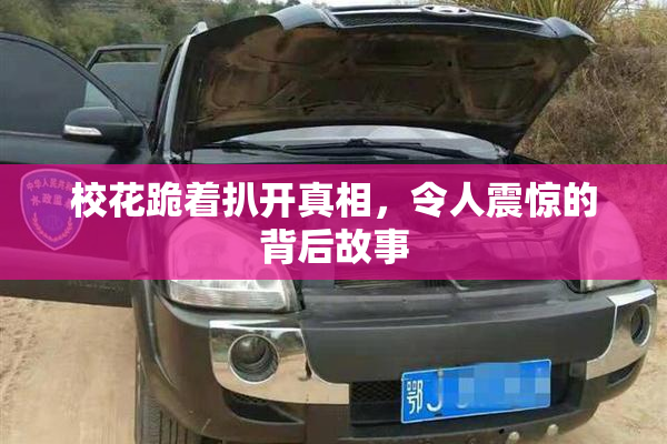 校花跪着扒开真相，令人震惊的背后故事