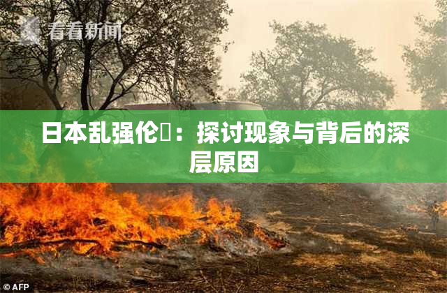 日本乱强伦乂：探讨现象与背后的深层原因