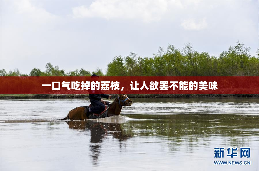 一口气吃掉的荔枝，让人欲罢不能的美味