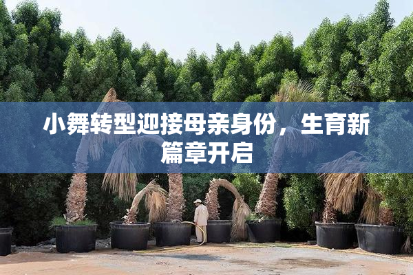 小舞转型迎接母亲身份，生育新篇章开启