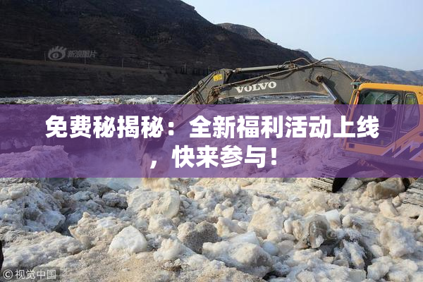 免费秘揭秘：全新福利活动上线，快来参与！