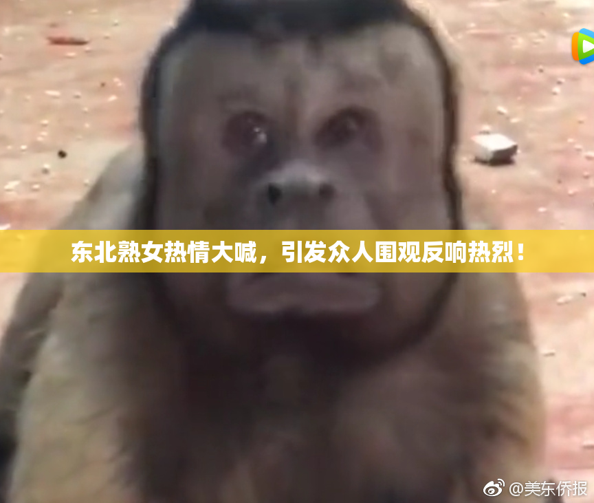东北熟女热情大喊，引发众人围观反响热烈！
