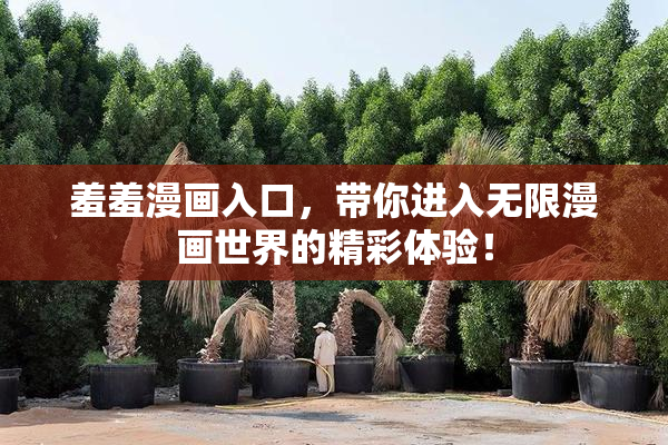 羞羞漫画入口，带你进入无限漫画世界的精彩体验！