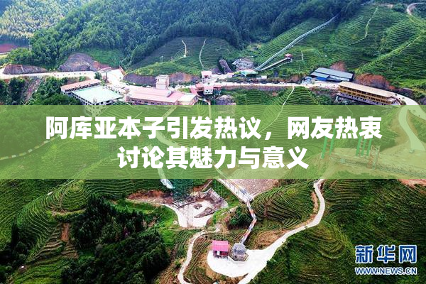 阿库亚本子引发热议，网友热衷讨论其魅力与意义