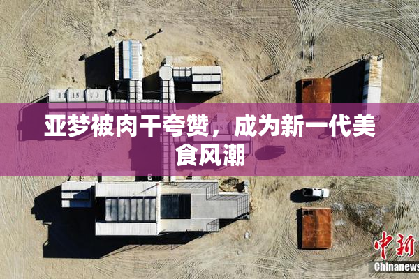 亚梦被肉干夸赞，成为新一代美食风潮