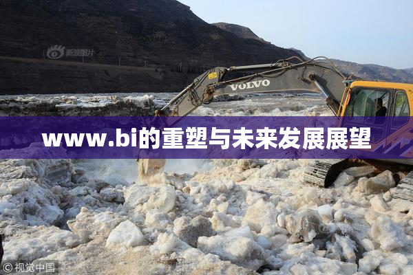 www.bi的重塑与未来发展展望