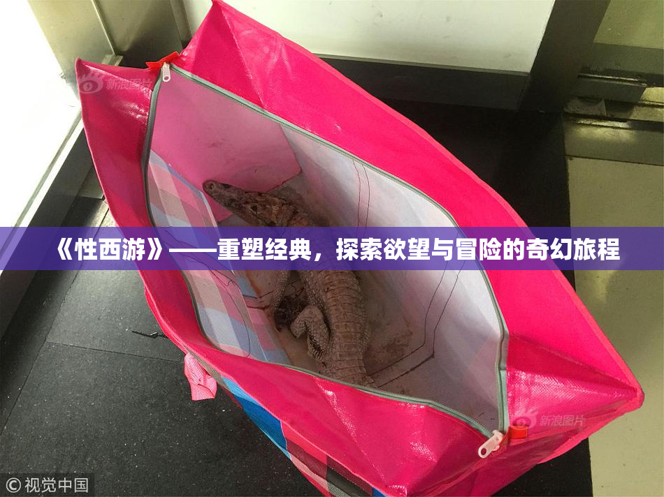 《性西游》——重塑经典，探索欲望与冒险的奇幻旅程