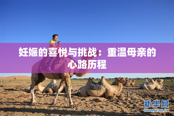 妊娠的喜悦与挑战：重温母亲的心路历程