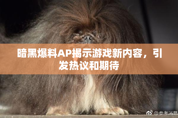 暗黑爆料AP揭示游戏新内容，引发热议和期待
