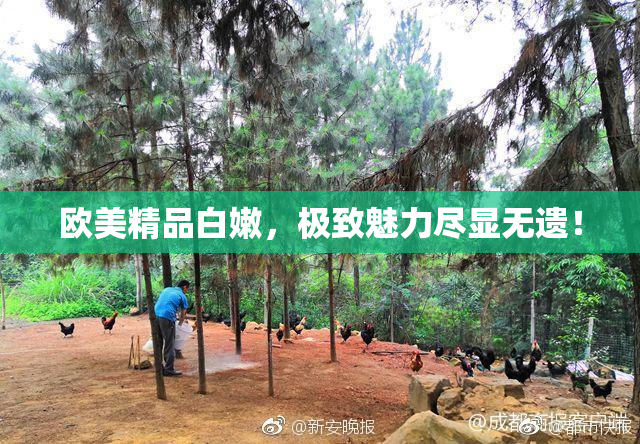 欧美精品白嫩，极致魅力尽显无遗！