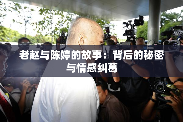 老赵与陈婷的故事：背后的秘密与情感纠葛