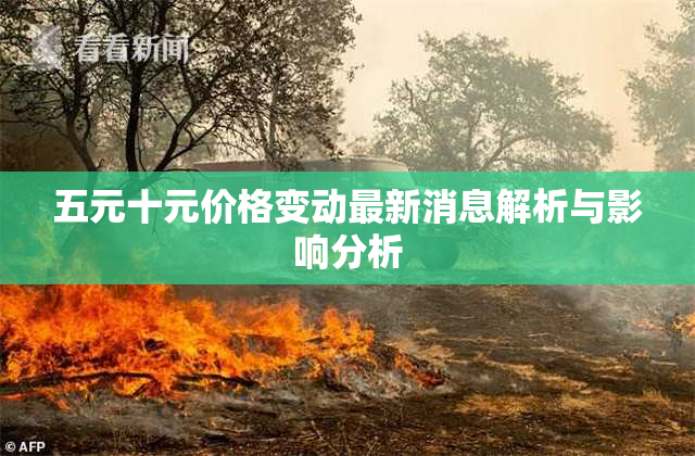 五元十元价格变动最新消息解析与影响分析