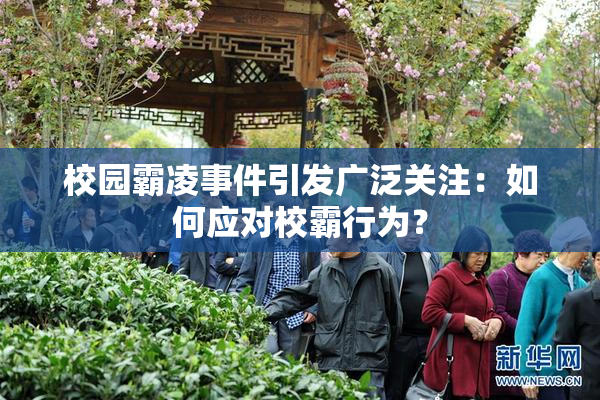 校园霸凌事件引发广泛关注：如何应对校霸行为？