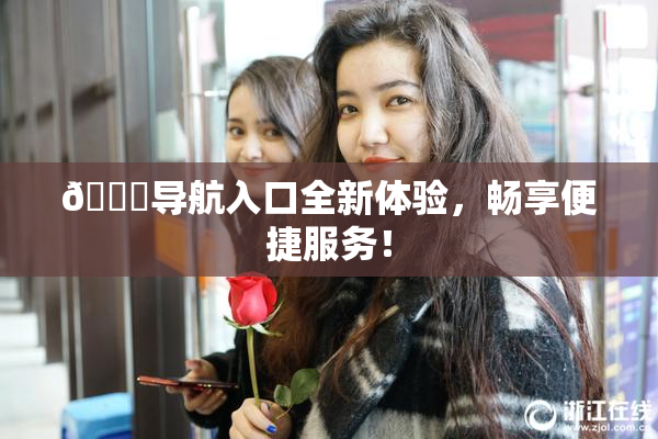 🍓导航入口全新体验，畅享便捷服务！