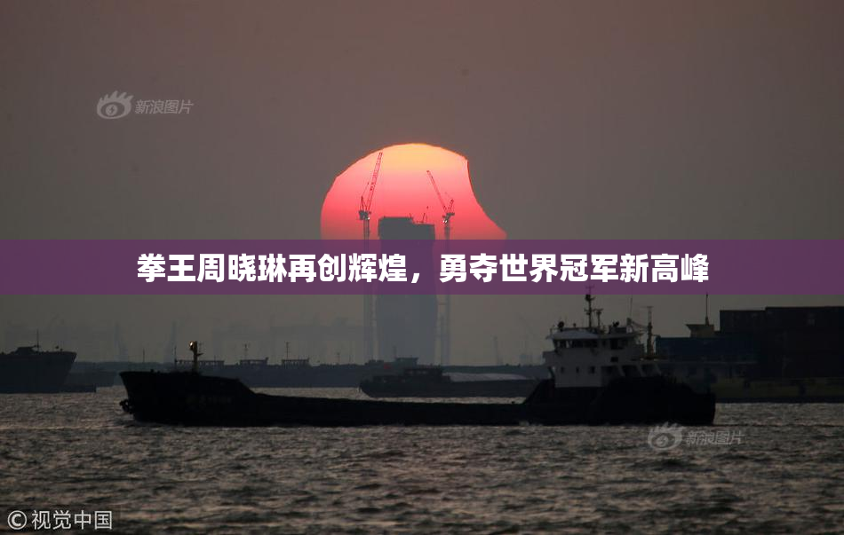 拳王周晓琳再创辉煌，勇夺世界冠军新高峰