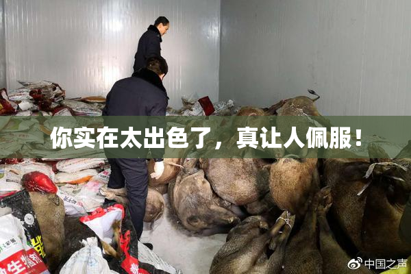 你实在太出色了，真让人佩服！