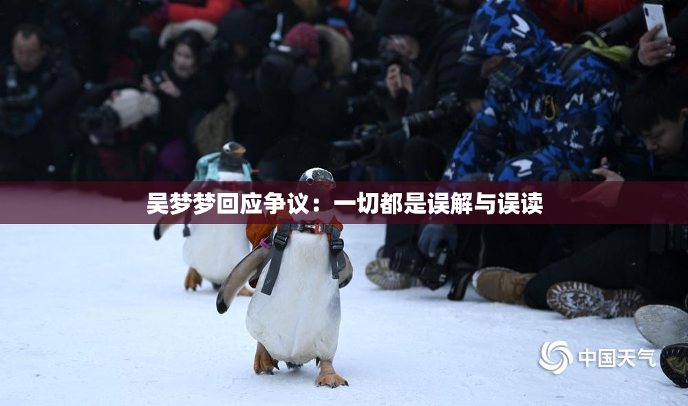 吴梦梦回应争议：一切都是误解与误读