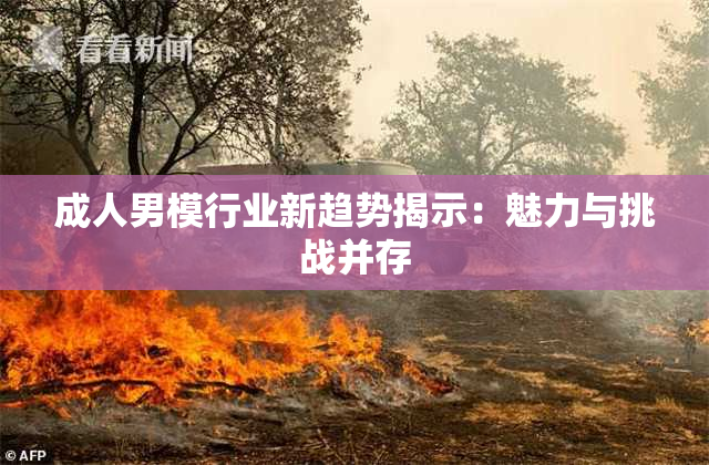 成人男模行业新趋势揭示：魅力与挑战并存