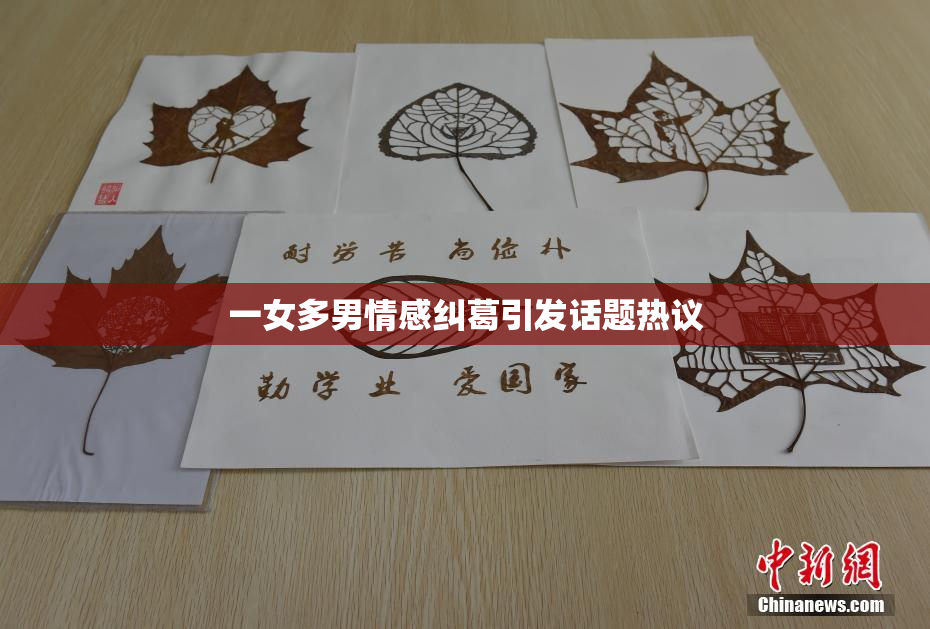 一女多男情感纠葛引发话题热议