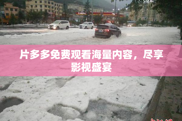 片多多免费观看海量内容，尽享影视盛宴