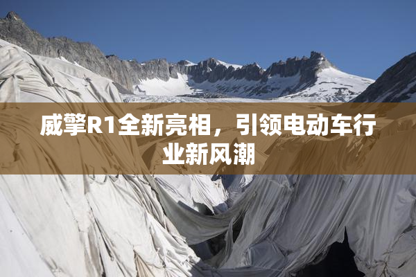 威擎R1全新亮相，引领电动车行业新风潮