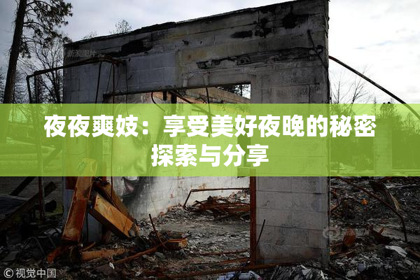 夜夜爽妓：享受美好夜晚的秘密探索与分享